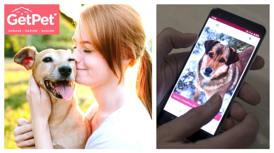 Psí aplikace GetPet